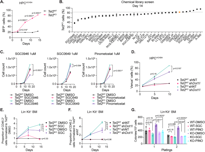 TET2 deficiency increases the competitive advantage of hematopoietic ...