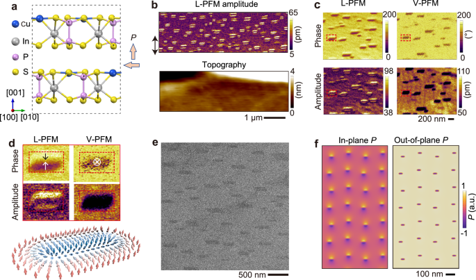 Observation of switchable polar skyrmion bubbles down to the atomic layers in van der waals ferroelectric cuinp2s6