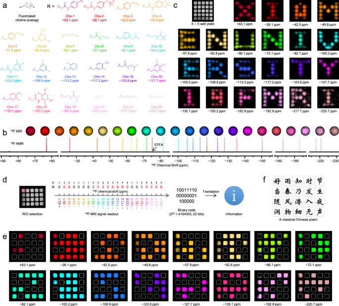 Super-multiplexed imaging and coding in the range of radio frequency ...
