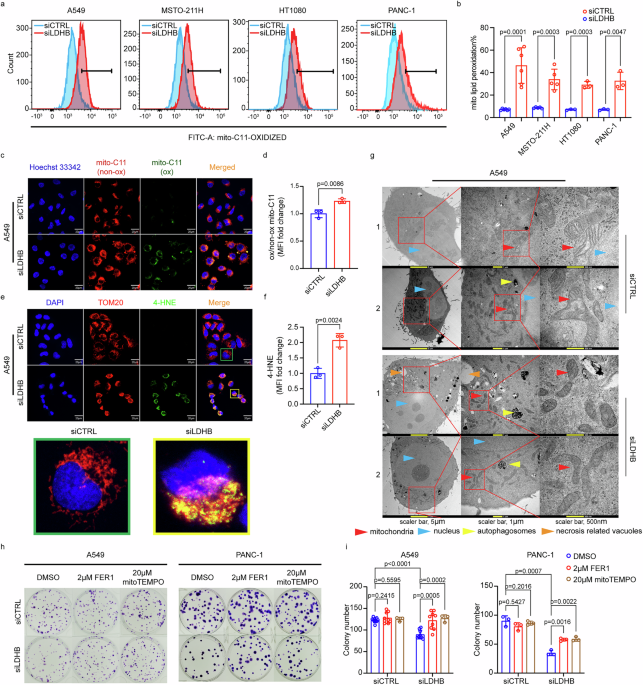 cjc-1295 ipamorelin oral CJC-1295 + Ipamorelin