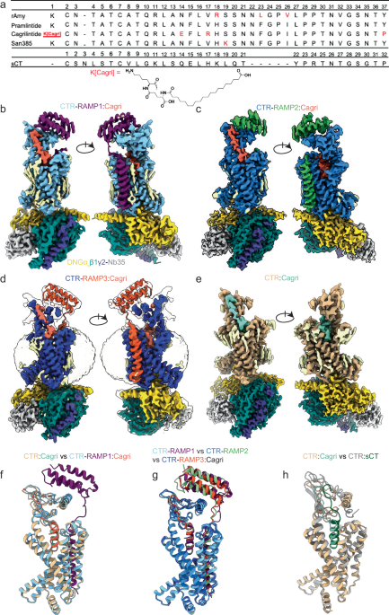 peptides cagrilintide Cagrilintide 5mg Peptide