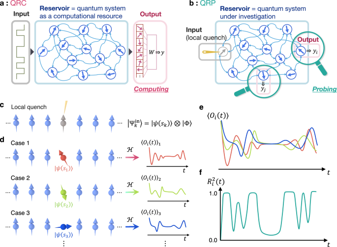 Quantum reservoir probing of quantum phase transitions | Nature ...