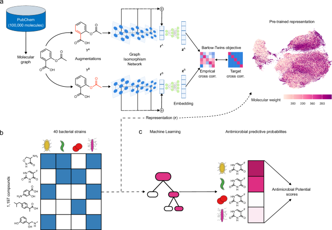 Pre-trained molecular representations enable antimicrobial discovery Pre-trained molecular representations enable antimicrobial discovery