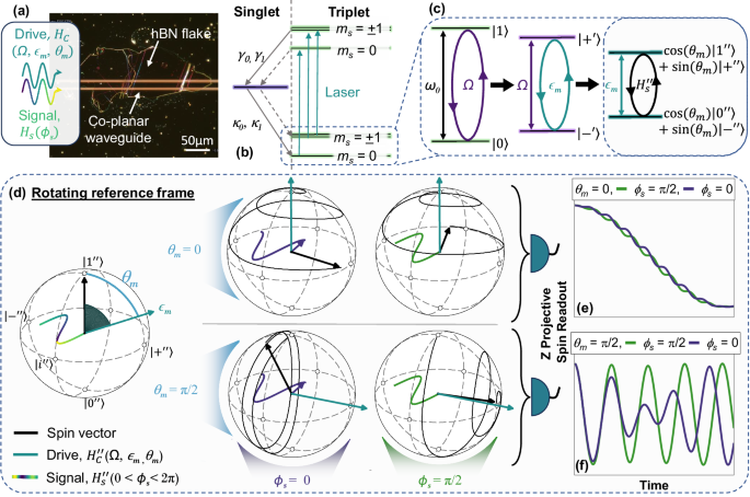 Microwave quantum heterodyne sensing using a continuous concatenated ...