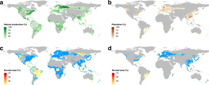 Global risk of wildfire across timber production systems - Nature Communications