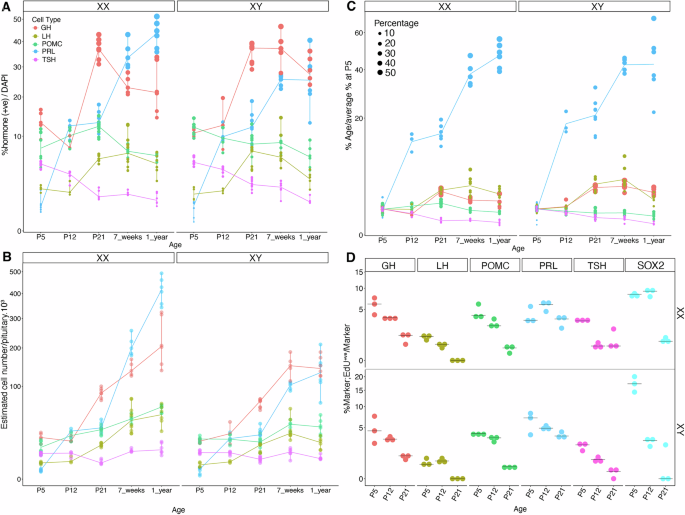 Gonadotrophs have a dual origin, with most derived from early postnatal pituitary stem cells