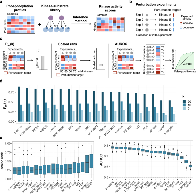 Comprehensive evaluation of phosphoproteomic-based kinase activity ...