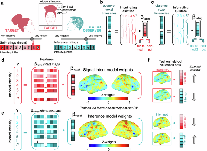brain scan visualization showing neural activity during storytelling with highlighted emotional centers in orange