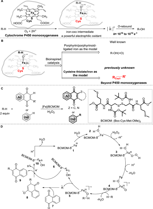glutathione liver repair 🥇 Is Glutathione Good for Liver Health? Exploring Its Benefits, Uses, and  Side Effects