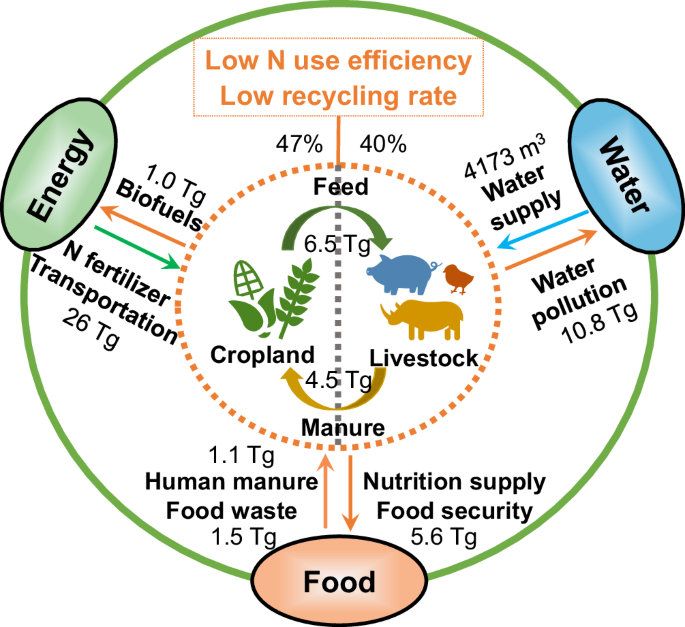 Managing nitrogen to achieve sustainable food-energy-water nexus in China