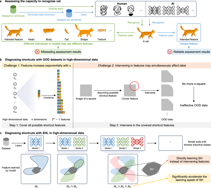 dataset IA