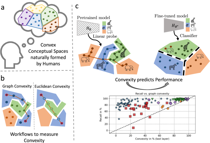 Understanding Convex Decision Regions in Deep Network Representations