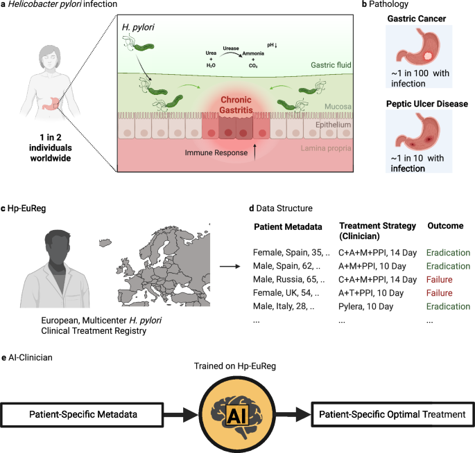 The Helicobacter pylori AI-clinician harnesses artificial intelligence to personalise H. pylori treatment recommendations