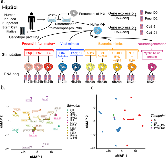 Gene expression QTL mapping in stimulated iPSC-derived macrophages provides insights into common complex diseases | Nature Communications Gene expression QTL mapping in stimulated iPSC-derived macrophages provides insights into common complex diseases | Nature Communications