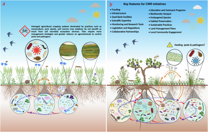 Blueprints for sustainable plant production through the utilization of crop  wild relatives and their microbiomes | Nature Communications