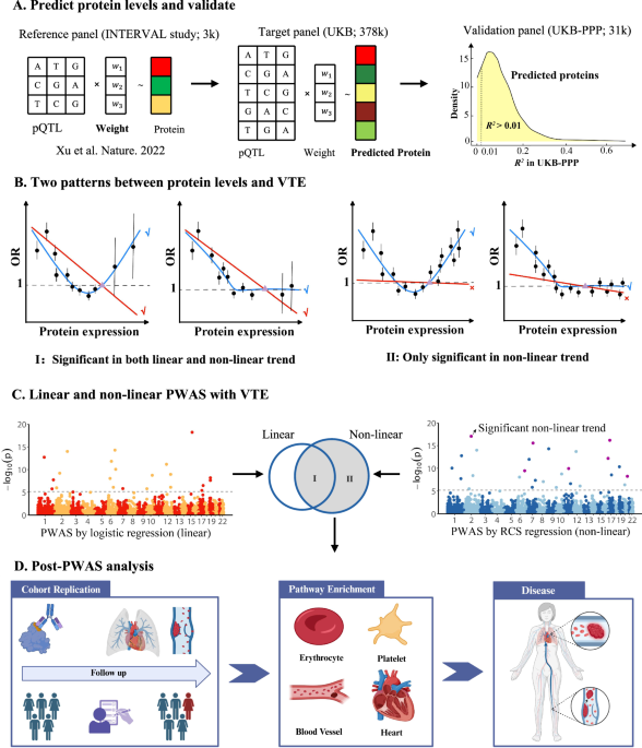 Linear and non-linear proteome-wide association studies provide novel insight into venous thromboembolism