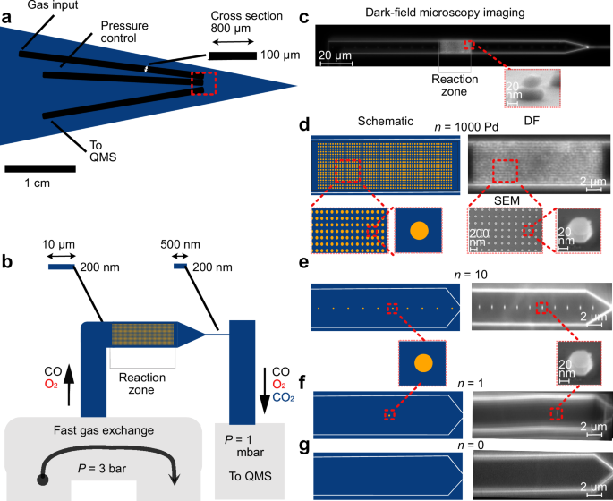 Deep-learning-enabled online mass spectrometry of the reaction product of a single catalyst nanoparticle