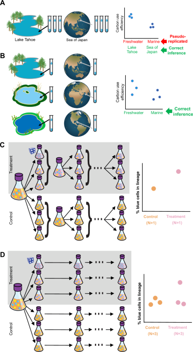 How thoughtful experimental design can empower biologists in the omics era