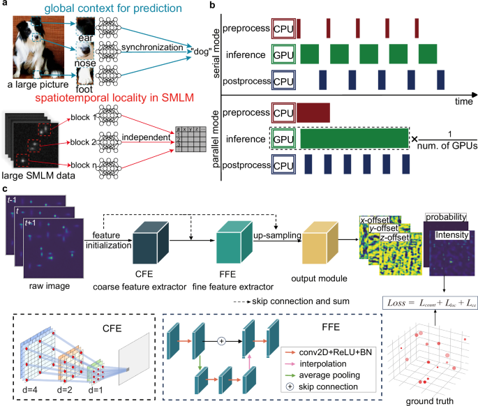 Efficient Deep Learning for High-Accuracy Single-Molecule Localization Microscopy