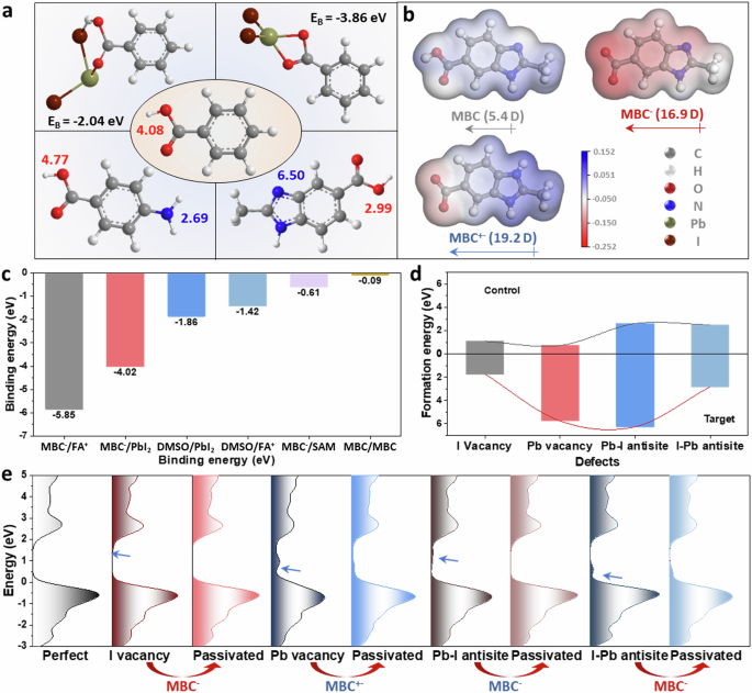 Amphoteric coplanar conjugated molecules enabling efficient and stable ...