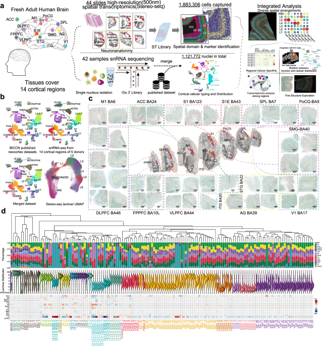 media.springernature.com image