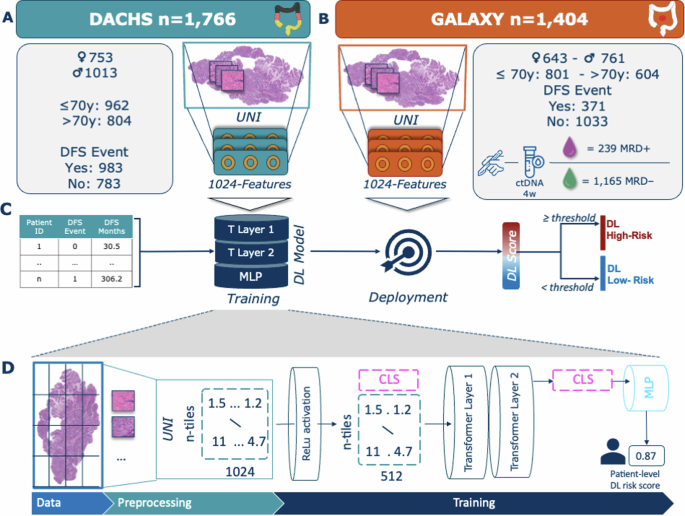 Revolutionizing Colorectal Cancer Risk Assessment: Combining Histology, Deep Learning, and ctDNA