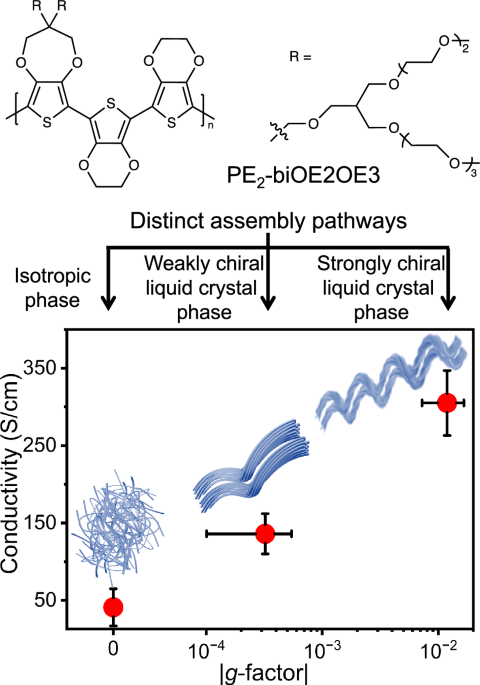 Supramolecular chirality largely modulates chemical doping of conjugated polymers - Nature Communications