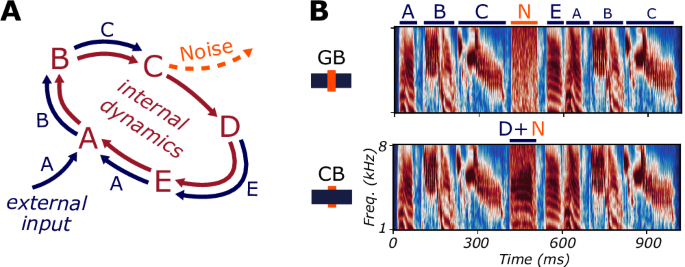 The zebra finch auditory cortex reconstructs occluded syllables in ...