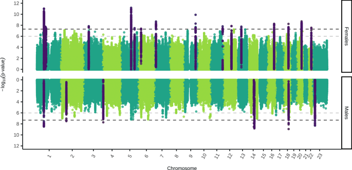 Sex-stratified genome-wide association meta-analysis major depressive disorder