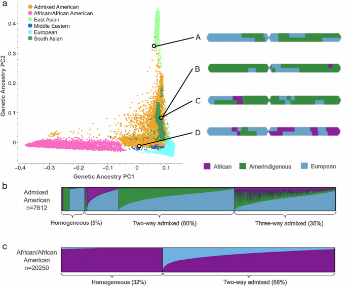 Improved allele frequencies in gnomAD through local ancestry inference - Nature Communications