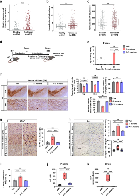Gut microbial production of imidazole propionate drives Parkinson's pathologies