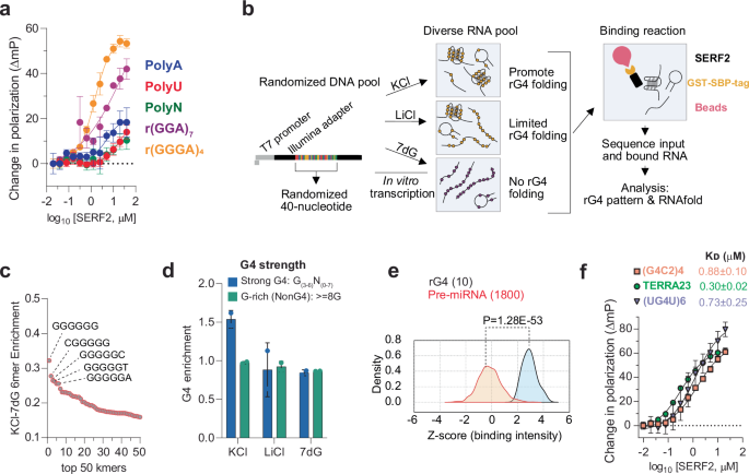 glutathione for cataracs Effect of thymol on reduced glutathione (a) and lipid peroxidation