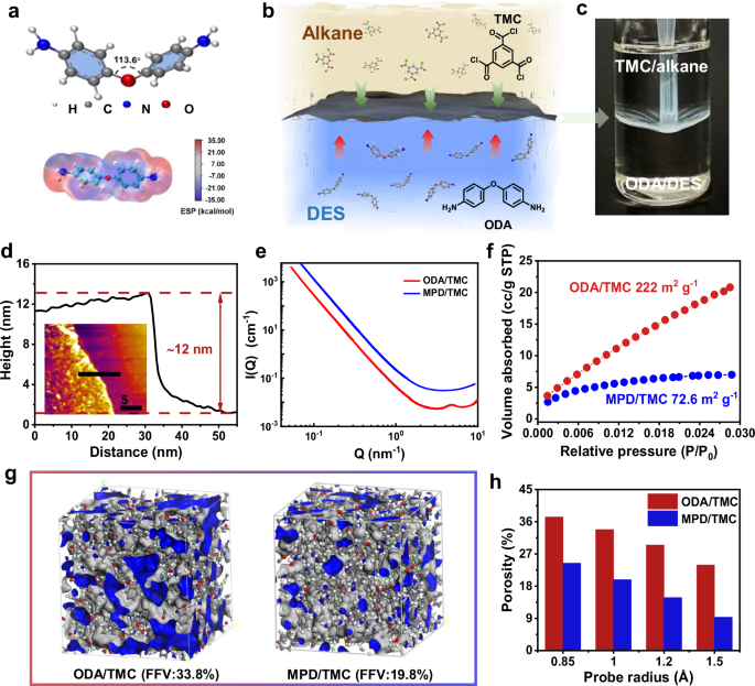 Microstructure engineering of polyamide membranes for ultrafast polar and non-polar solvent transport - Nature Communications
