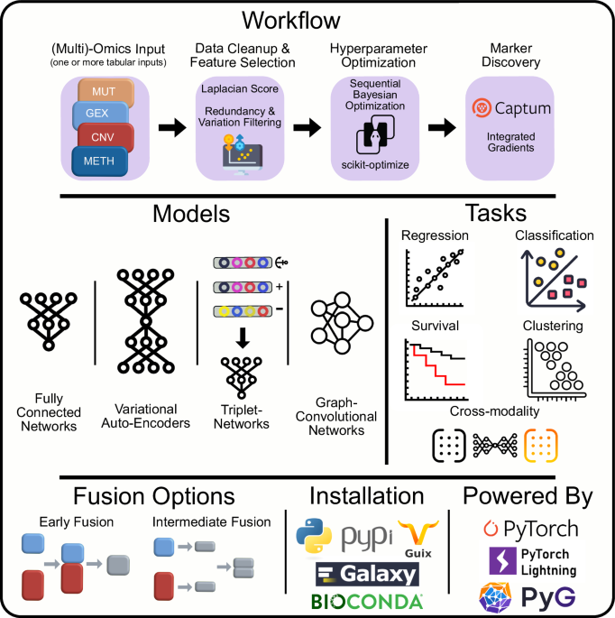 Flexynesis: Advanced Deep Learning Toolkit for Integrating Multi-Omics Data in Precision Oncology