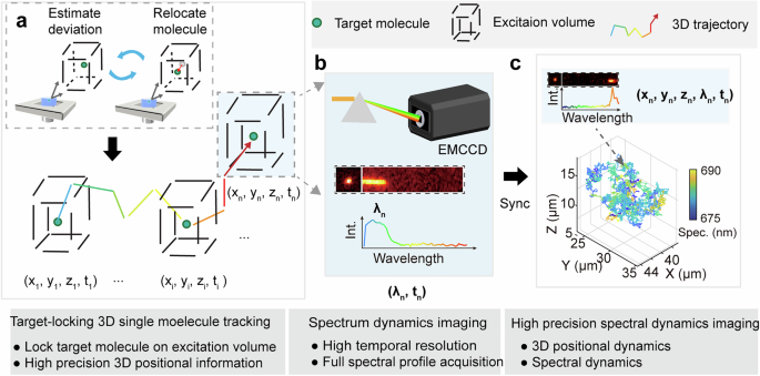 Single molecule spectrum dynamics imaging with 3D target-locking ...