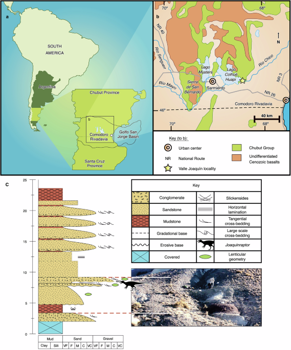 Latest Cretaceous megaraptorid theropod dinosaur sheds light on megaraptoran evolution and palaeobiology