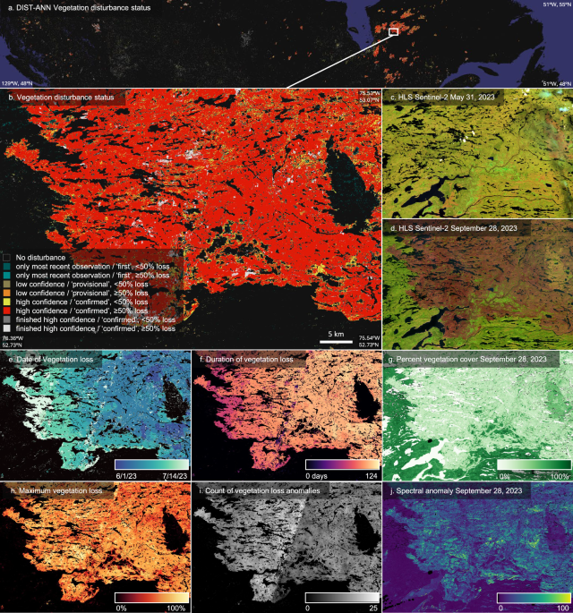 Rapid monitoring of global land change