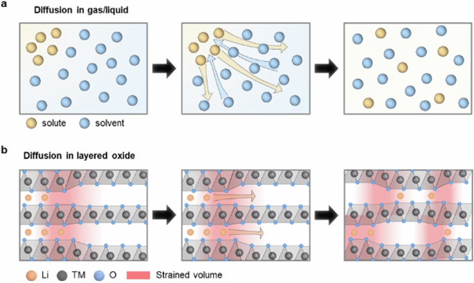 Strain-associated nanoscale fluctuating lithium transport within single ...