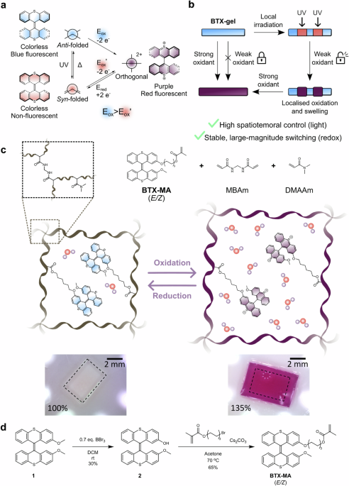 Light-gated redox switching and actuation in polymer hydrogels - Nature Communications