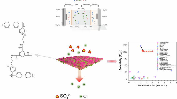 Monovalent anion-selective membranes fabricated via in situ interfacial polymerization - Nature Communications