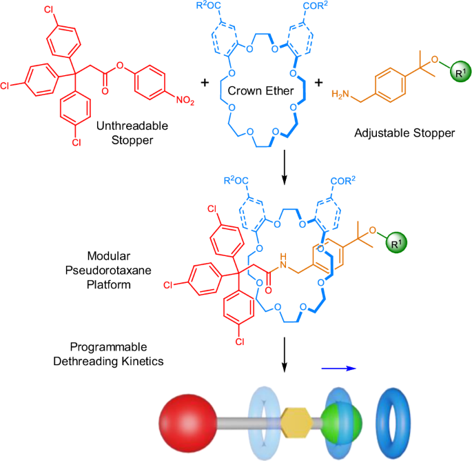 take dihexa and enclomiphene tpgether The Food Drug Administration will hold a meeting this summer to consider easing restrictions on more than a half dozen peptide injections, a group of unapproved therapies that have become popular Decoding the Chain: The Science