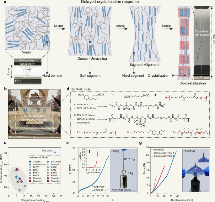 Delayed crystallization response-inspired waterborne polyurethane with high performance - Nature Communications