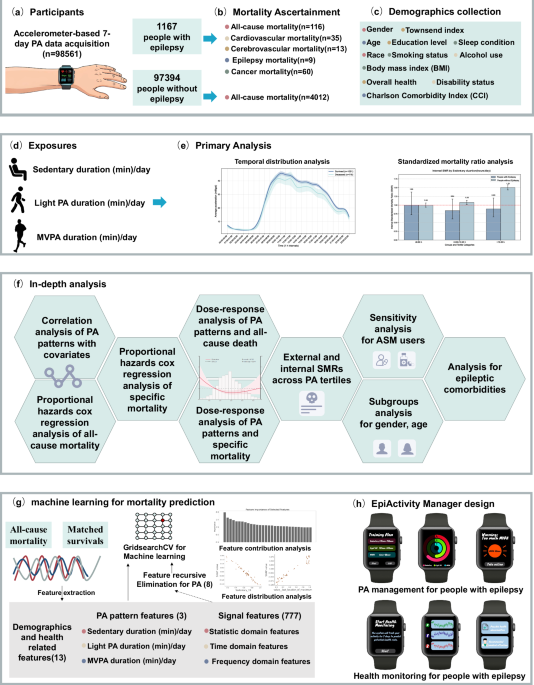 Physical activity levels may impact on the risk of premature mortality in people with epilepsy