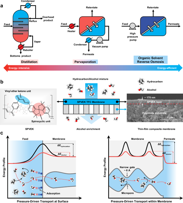 Spirocyclic poly(vinylene ether ketone) membranes with enhanced microporosity for energy-efficient alcohol-hydrocarbon azeotrope separation - Nature Communications