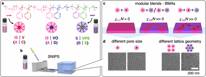 Film surface assemblies from chemically distinct block copolymer micelles - Nature Communications