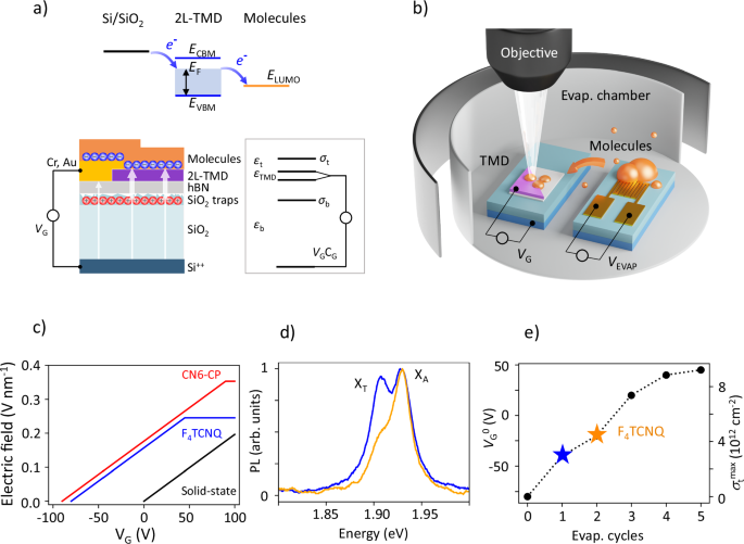 Revealing hidden interlayer excitons in 2D bilayers via hybrid ...