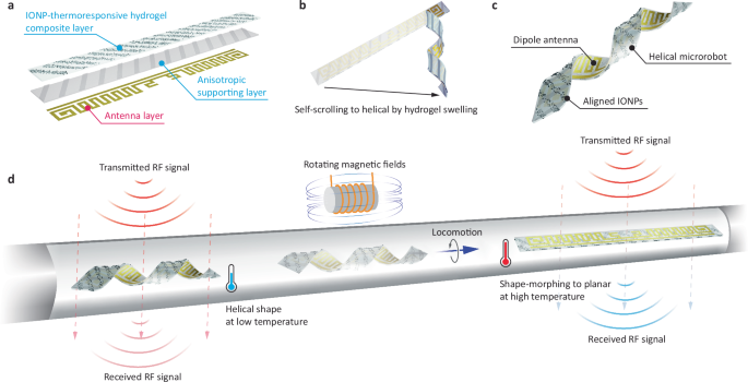 Soft magnetic microrobots with remote sensing and communication ...