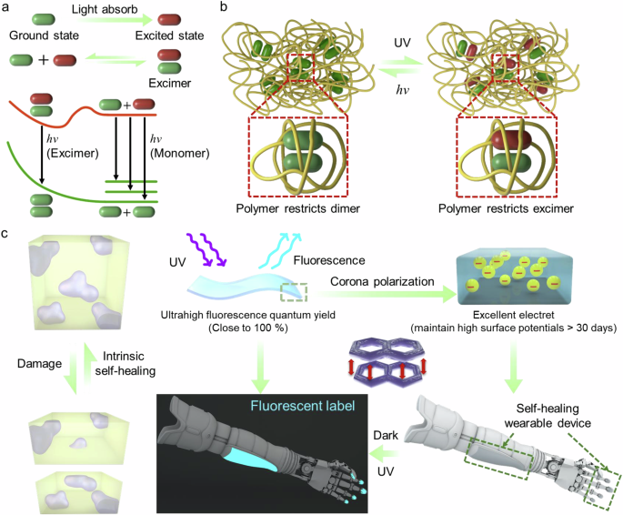 Polymer-constrained excimer enables flexible and self-healable optoelectronic elastomer for mechanical sensor - Nature Communications