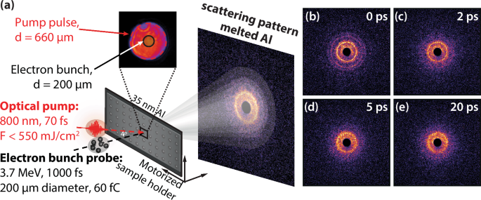 media.springernature.com image