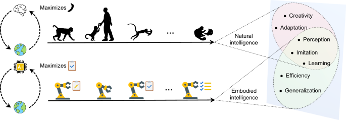 Discovery of the reward function for embodied reinforcement learning agents